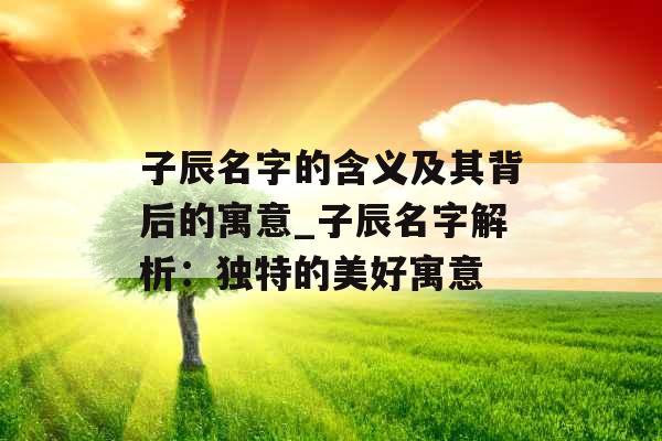 子辰名字的含义及其背后的寓意_子辰名字解析：独特的美好寓意