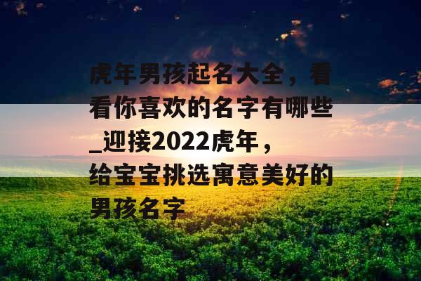 虎年男孩起名大全，看看你喜欢的名字有哪些_迎接2022虎年，给宝宝挑选寓意美好的男孩名字