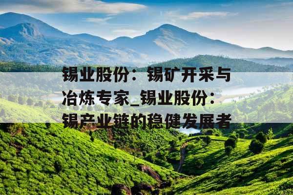 锡业股份：锡矿开采与冶炼专家_锡业股份：锡产业链的稳健发展者
