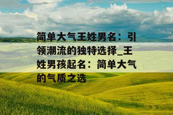 简单大气王姓男名：引领潮流的独特选择_王姓男孩起名：简单大气的气质之选