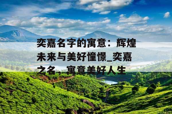 奕嘉名字的寓意：辉煌未来与美好憧憬_奕嘉之名，寓意美好人生