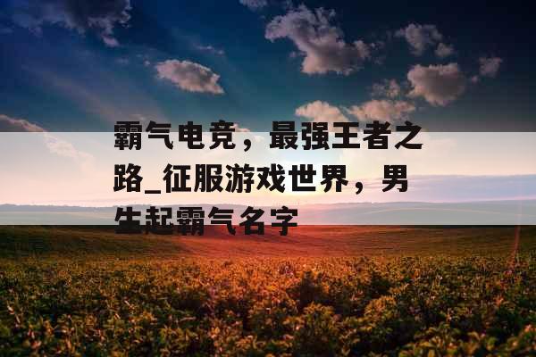 霸气电竞，最强王者之路_征服游戏世界，男生起霸气名字