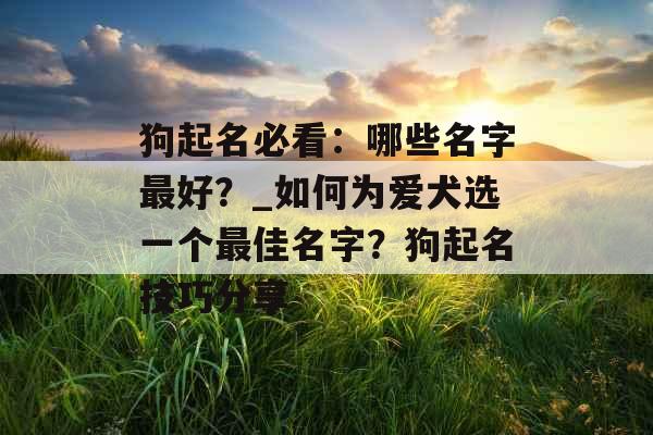 狗起名必看：哪些名字最好？_如何为爱犬选一个最佳名字？狗起名技巧分享