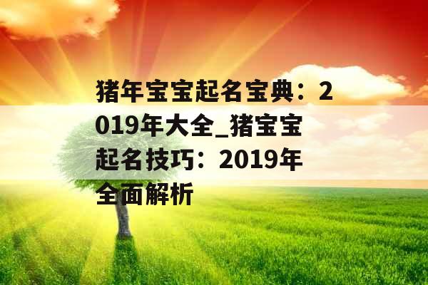 猪年宝宝起名宝典：2019年大全_猪宝宝起名技巧：2019年全面解析