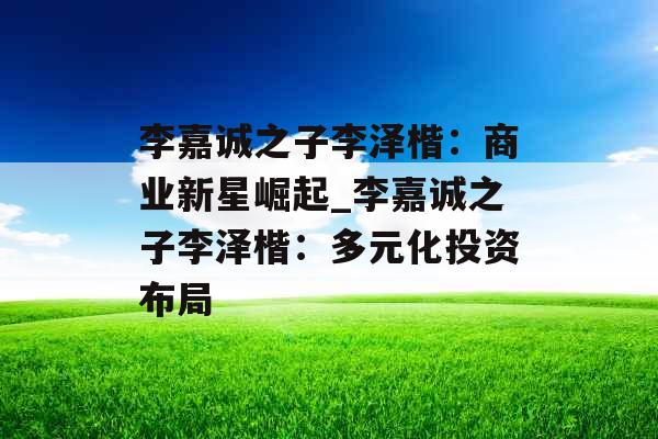 李嘉诚之子李泽楷：商业新星崛起_李嘉诚之子李泽楷：多元化投资布局