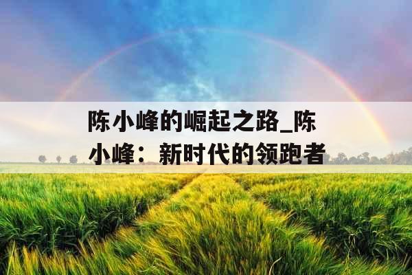 陈小峰的崛起之路_陈小峰：新时代的领跑者