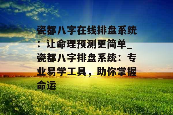 瓷都八字在线排盘系统：让命理预测更简单_瓷都八字排盘系统：专业易学工具，助你掌握命运