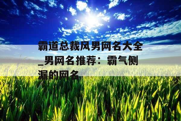 霸道总裁风男网名大全_男网名推荐：霸气侧漏的网名