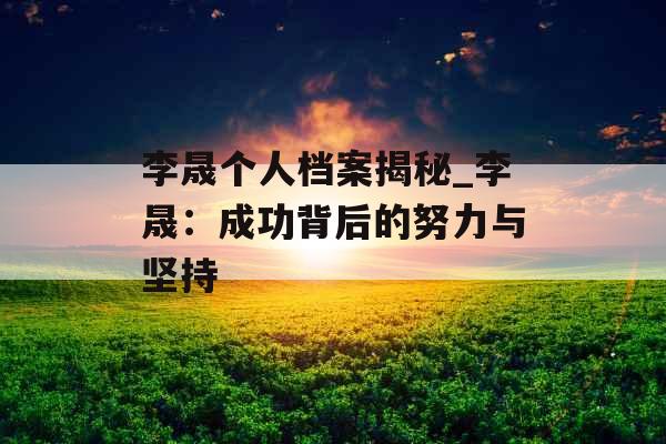 李晟个人档案揭秘_李晟：成功背后的努力与坚持