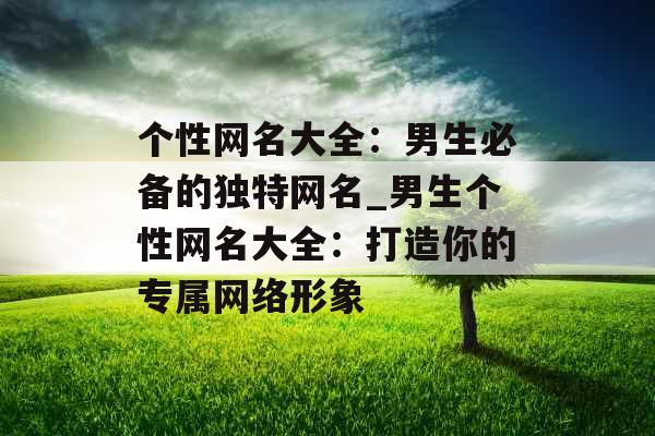 个性网名大全：男生必备的独特网名_男生个性网名大全：打造你的专属网络形象