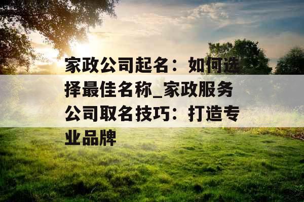 家政公司起名：如何选择最佳名称_家政服务公司取名技巧：打造专业品牌