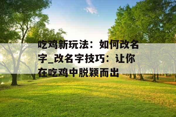 吃鸡新玩法：如何改名字_改名字技巧：让你在吃鸡中脱颖而出