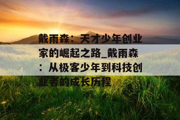 戴雨森：天才少年创业家的崛起之路_戴雨森：从极客少年到科技创业者的成长历程
