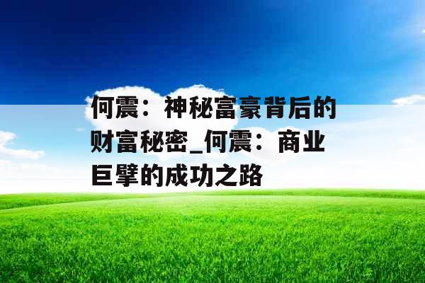 何震：神秘富豪背后的财富秘密_何震：商业巨擘的成功之路