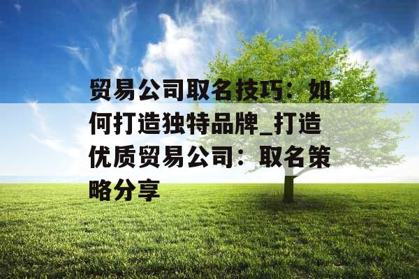 贸易公司取名技巧：如何打造独特品牌_打造优质贸易公司：取名策略分享