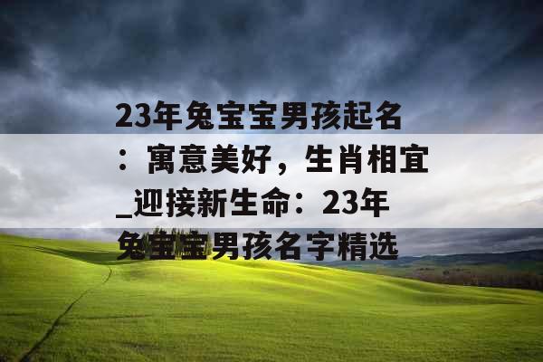 23年兔宝宝男孩起名：寓意美好，生肖相宜_迎接新生命：23年兔宝宝男孩名字精选