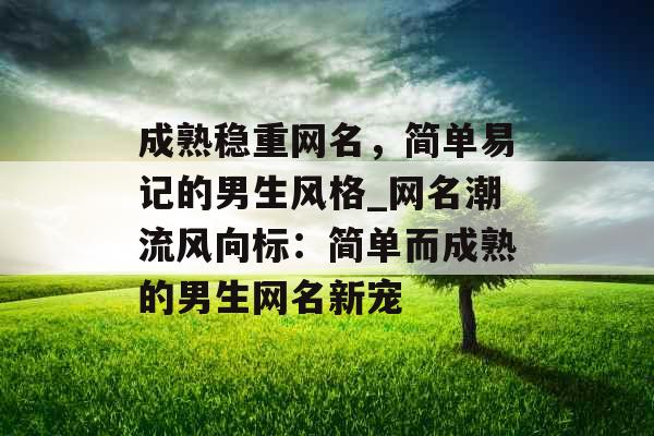 成熟稳重网名，简单易记的男生风格_网名潮流风向标：简单而成熟的男生网名新宠