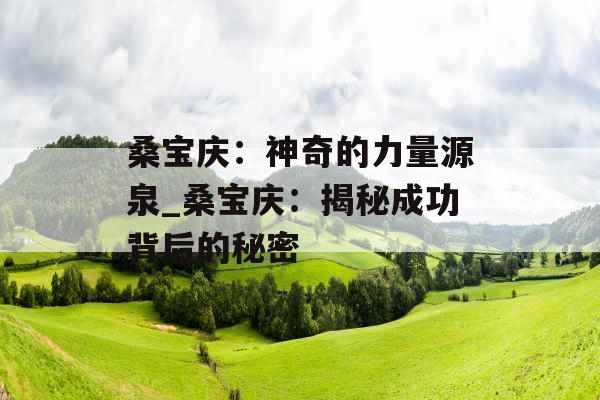 桑宝庆：神奇的力量源泉_桑宝庆：揭秘成功背后的秘密