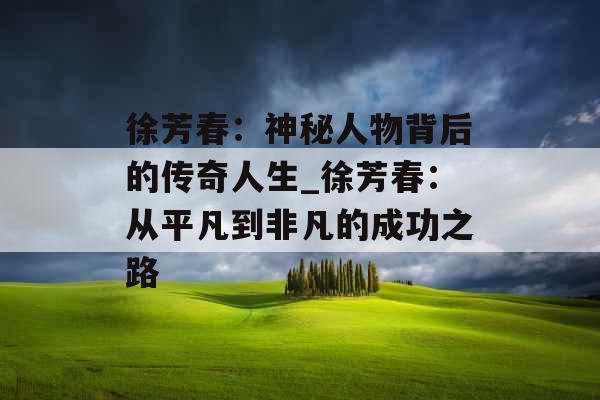 徐芳春：神秘人物背后的传奇人生_徐芳春：从平凡到非凡的成功之路