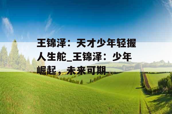王锦泽：天才少年轻握人生舵_王锦泽：少年崛起，未来可期