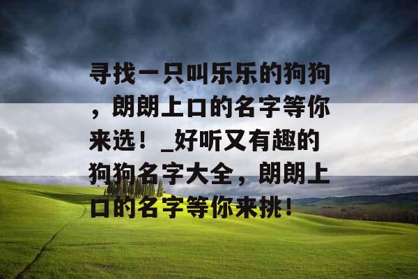 寻找一只叫乐乐的狗狗，朗朗上口的名字等你来选！_好听又有趣的狗狗名字大全，朗朗上口的名字等你来挑！