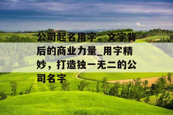 公司起名用字：文字背后的商业力量_用字精妙，打造独一无二的公司名字