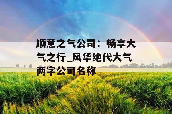 顺意之气公司：畅享大气之行_风华绝代大气两字公司名称