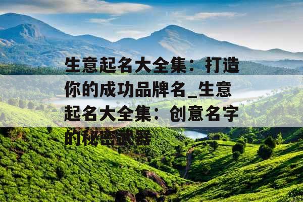 生意起名大全集：打造你的成功品牌名_生意起名大全集：创意名字的秘密武器