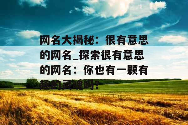 网名大揭秘：很有意思的网名_探索很有意思的网名：你也有一颗有趣的灵魂吗？