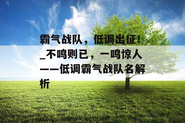 霸气战队，低调出征！_不鸣则已，一鸣惊人——低调霸气战队名解析