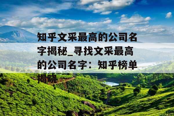 知乎文采最高的公司名字揭秘_寻找文采最高的公司名字：知乎榜单揭晓