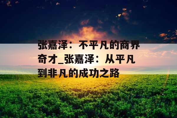 张嘉泽：不平凡的商界奇才_张嘉泽：从平凡到非凡的成功之路