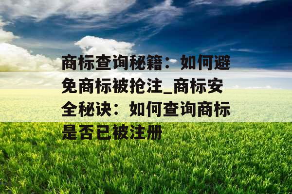 商标查询秘籍：如何避免商标被抢注_商标安全秘诀：如何查询商标是否已被注册