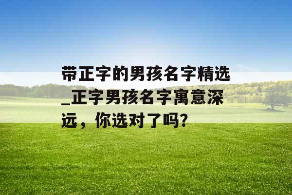 带正字的男孩名字精选_正字男孩名字寓意深远，你选对了吗？