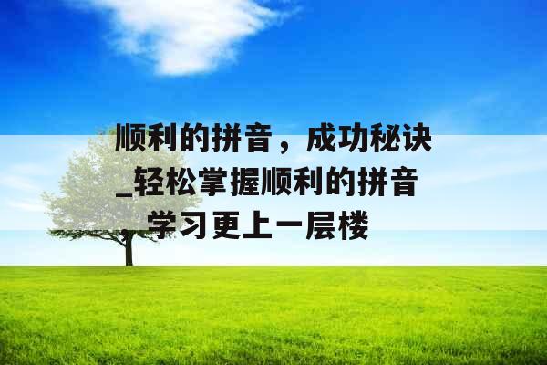 顺利的拼音，成功秘诀_轻松掌握顺利的拼音，学习更上一层楼