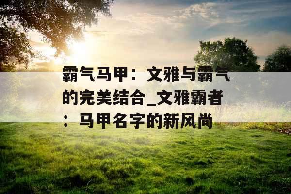 霸气马甲：文雅与霸气的完美结合_文雅霸者：马甲名字的新风尚