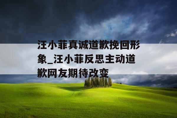 汪小菲真诚道歉挽回形象_汪小菲反思主动道歉网友期待改变