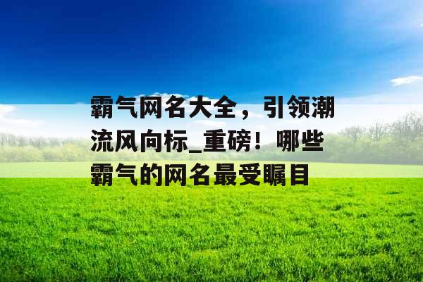 霸气网名大全，引领潮流风向标_重磅！哪些霸气的网名最受瞩目