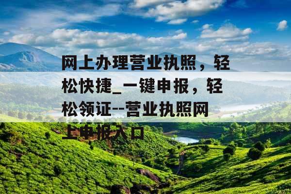 网上办理营业执照，轻松快捷_一键申报，轻松领证--营业执照网上申报入口