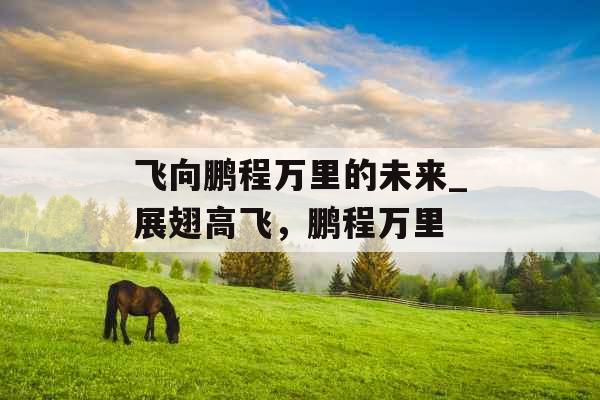 飞向鹏程万里的未来_展翅高飞，鹏程万里