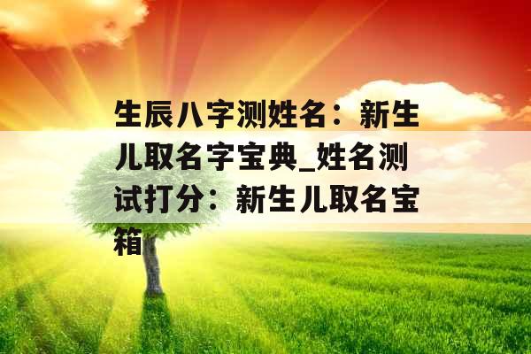 生辰八字测姓名：新生儿取名字宝典_姓名测试打分：新生儿取名宝箱