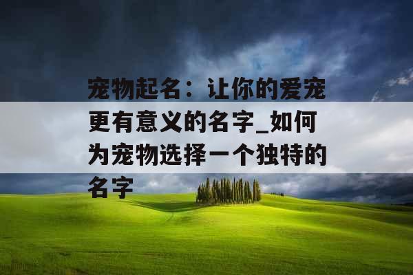 宠物起名：让你的爱宠更有意义的名字_如何为宠物选择一个独特的名字