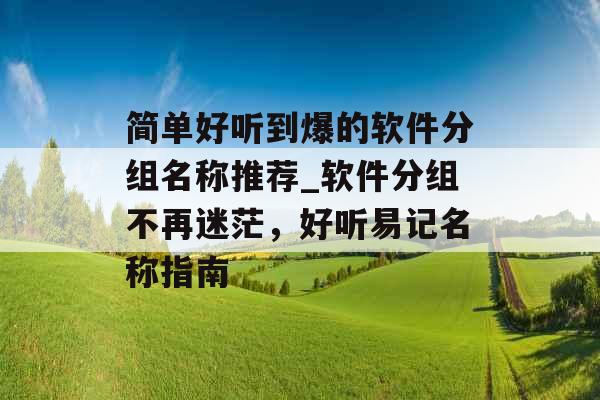 简单好听到爆的软件分组名称推荐_软件分组不再迷茫，好听易记名称指南