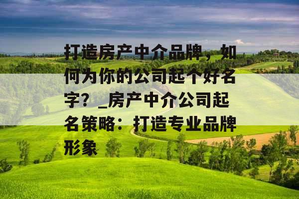 打造房产中介品牌，如何为你的公司起个好名字？_房产中介公司起名策略：打造专业品牌形象