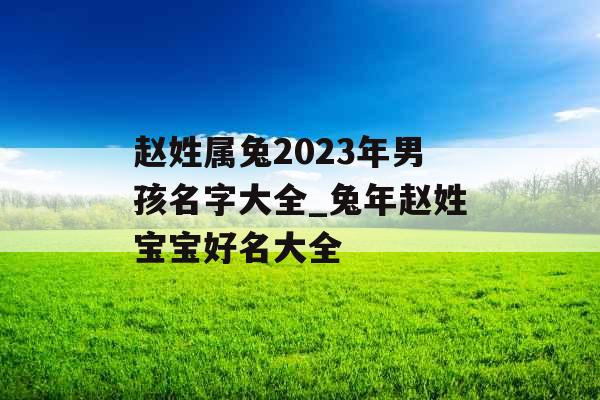 赵姓属兔2023年男孩名字大全_兔年赵姓宝宝好名大全