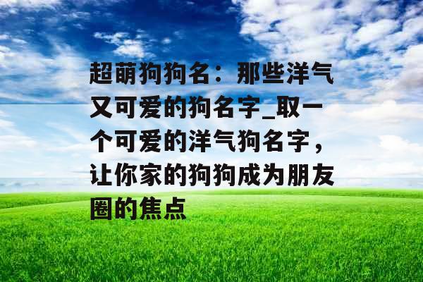 超萌狗狗名：那些洋气又可爱的狗名字_取一个可爱的洋气狗名字，让你家的狗狗成为朋友圈的焦点