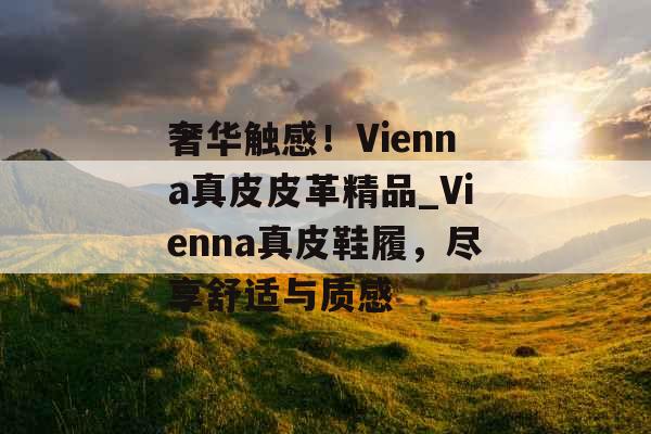 奢华触感！Vienna真皮皮革精品_Vienna真皮鞋履，尽享舒适与质感