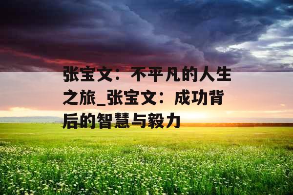 张宝文:不平凡的人生之旅_张宝文:成功背后的智慧与毅力 张宝文:不平凡的人生之旅_张宝文:成功背后的智慧与毅力