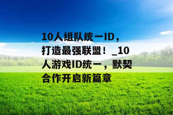 10人组队统一ID，打造最强联盟！_10人游戏ID统一，默契合作开启新篇章