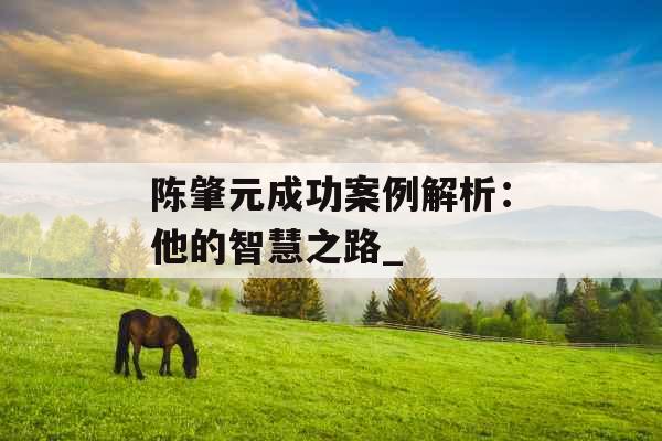 陈肇元成功案例解析：他的智慧之路_